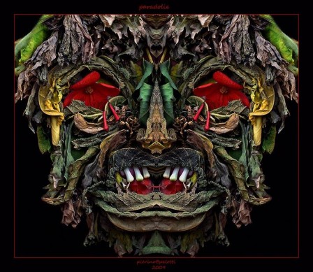 Pierino_Palotti_Arcimboldo.jpg