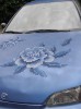 Severija_In_irauskait_-Kriaunevi_ien__tuning_broderie.jpg