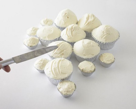 Ski Scene Cupcakes 1.jpg