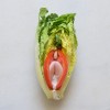 Stephanie Sarley Food Porn salade.jpg