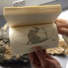 Tectonique des plaques et dérive des continents.gif