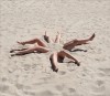 araignée de mer.gif