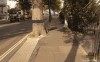 attention_arbre_mechant.gif