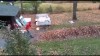 automne les feuilles mortes se ramassent à la pelle.gif