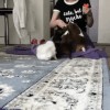 carotte votre mission si vous l'acceptez.gif