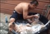 chien lave moi.gif