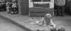 chien_les_nouvelles_sont_mauvaises_d_ou_qu_elles_viennent.gif