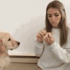 chien_ongles.gif