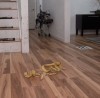 chien_robot_peau_de_banane.gif