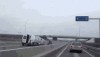 comme un cheval fou sur l'autoroute.gif