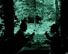 conrad veidt lillebil ibsen christian wahnschaffe 1920 déjeuner sur l'herbe.gif, sept. 2018