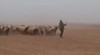 defile_militaire_revue_des_troupes.gif