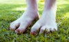 des fourmis dans les doigts de pieds.gif