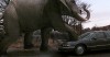 éléphant quand on arrive en ville.gif
