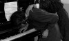 fête de la musique 3.gif