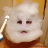 fou_de_la_mousse.gif