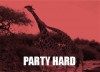 girafe_en_boite_danse.gif