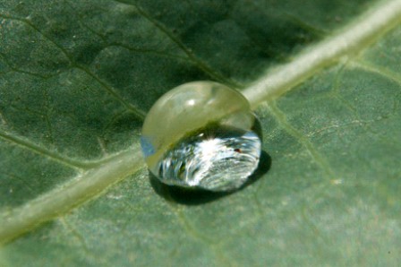 goutte d'eau.gif