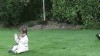 grand mère fait du foot.gif