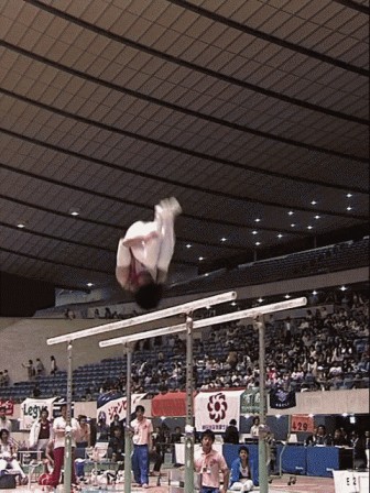 gym barres parallèles JO.gif