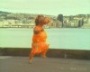 jogging_hippopotame.gif