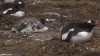journée de merde.gif