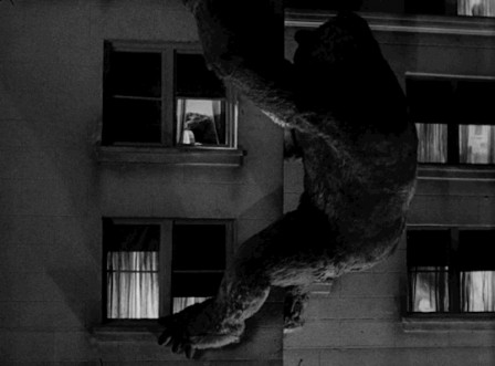 king kong bonjour.gif