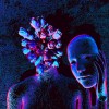 la nuit des fleurs.gif