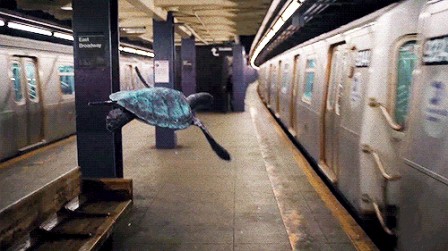 la_tortue_du_metro.gif