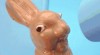 lapin_fondu_chaleur.gif