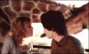 le_baiser_de_la_girafe.gif