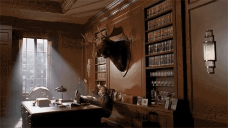 le bureau du fond.gif