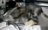 le_chat_machine_pour_votre_vaisselle.gif