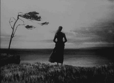 le grand plongeon 2.gif