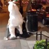 lendemain de pâques.gif