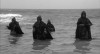 les baigneurs de la nuit.gif