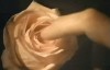 les doigts dans la rose.gif
