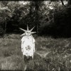 les rayons de soleil.gif