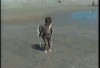 les vacances sont finies petit.gif