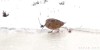 let's be rock.gif