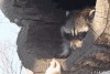 mon précieux.gif