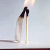 nous nous sommes tant aimés.gif