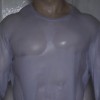 pectoraux.gif