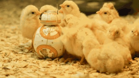 poussin_star_wars.gif