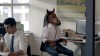 rire_de_cheval.gif
