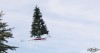 sapin_de_noel_volant.gif