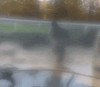 singing in the rain.gif