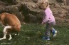 solidarite_les_gestes_de_soutien_aux_justes_causes.gif