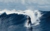 surf_mobylette.gif