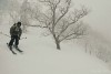 tarzan au ski.gif